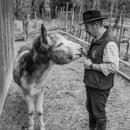 Podere Il Poggiolo 루피나