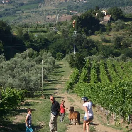 Podere Il Poggiolo Farm stay *