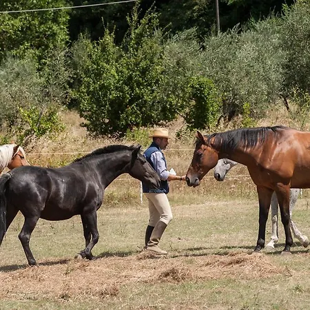 Podere Il Poggiolo *