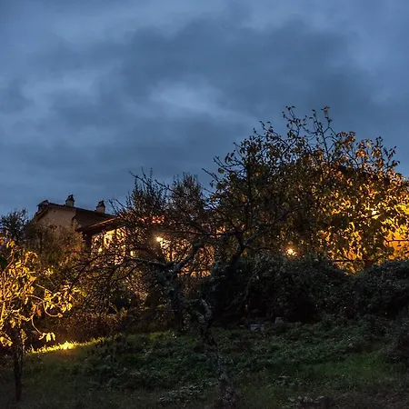 Podere Il Poggiolo Farm stay Pontassieve