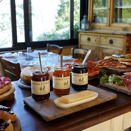 Podere Il Poggiolo Farm stay *