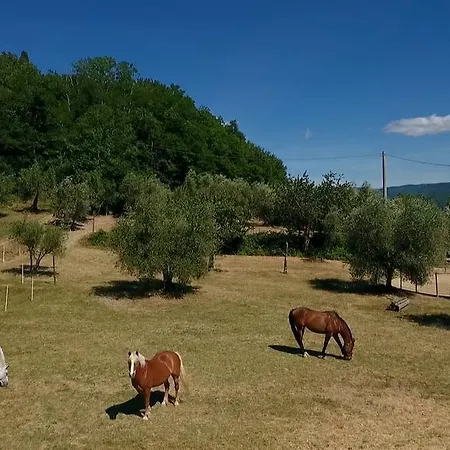 Farm stay Podere Il Poggiolo